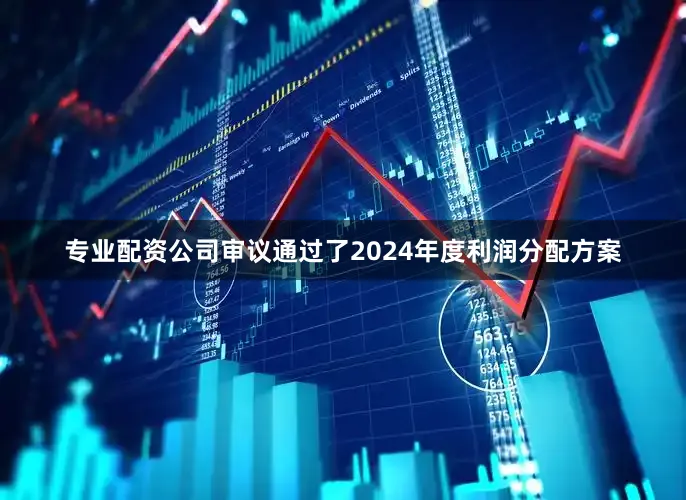 专业配资公司审议通过了2024年度利润分配方案
