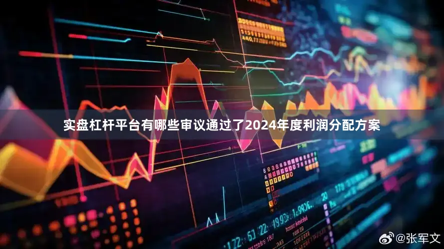 实盘杠杆平台有哪些审议通过了2024年度利润分配方案