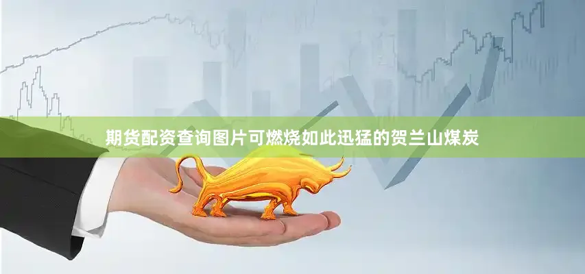 期货配资查询图片可燃烧如此迅猛的贺兰山煤炭