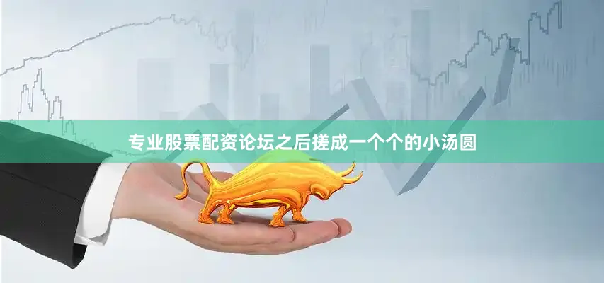 专业股票配资论坛之后搓成一个个的小汤圆